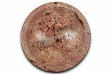Polished Saharan Desert Jasper Dish - Morocco #349415-1
